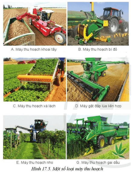 Các loại máy thu hoạch ở Hình 17.5 có thể sử dụng để thu hoạch các loại cây trồng nào khác