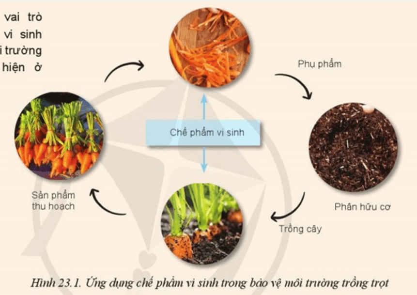 Hãy giải thích vai trò của chế phẩm vi sinh trong bảo vệ môi trường trồng trọt
