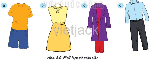 Trong Hình 8.5, các bộ trang phục được phối hợp màu theo nguyên tắc nào