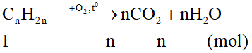 Đề kiểm tra Giữa kì 2 Hóa học 11 có đáp án (Đề 1)