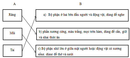 Phiếu bài tập cuối tuần Tiếng Việt lớp 5 Tuần 7 có đáp án (5 phiếu) | Đề kiểm tra cuối tuần Tiếng Việt 5