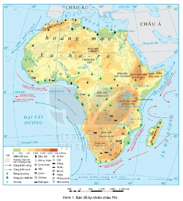 Dựa vào thông tin trong mục 1 và hình 1, hãy cho biết: Châu Phi tiếp giáp với các biển