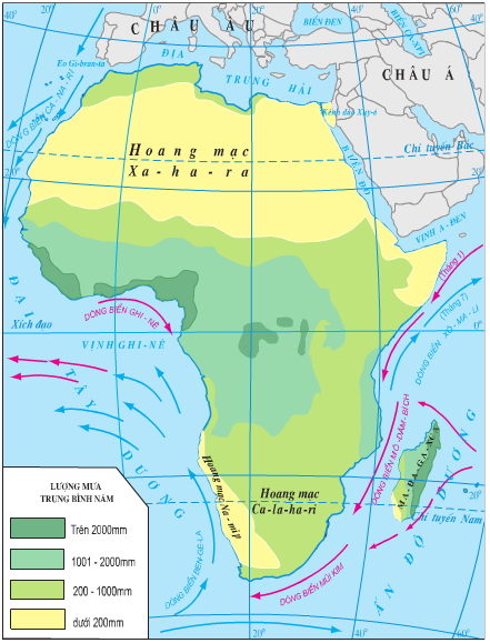 Lý thuyết Địa Lí 7 Bài 27: Thiên nhiên châu Phi hay, chi tiết (tiếp theo) 