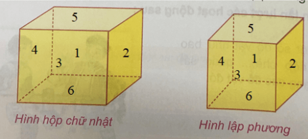 Giải Toán 5 VNEN Bài 68: Hình hộp chữ nhật. Hình lập phương