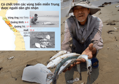Giáo án Địa Lí 8 Cánh diều Bài 12: Môi trường và tài nguyên biển đảo Việt Nam