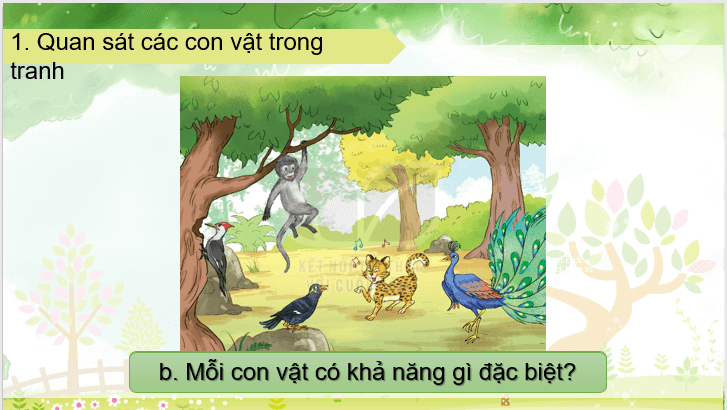 Giáo án điện tử Cuộc thi tài năng của rừng xanh lớp 1 | PPT Tiếng Việt lớp 1 Kết nối tri thức