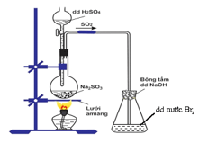Trắc nghiệm Hóa học 11 Cánh diều Bài 6 (có đáp án): Sulfur và sulfur dioxide