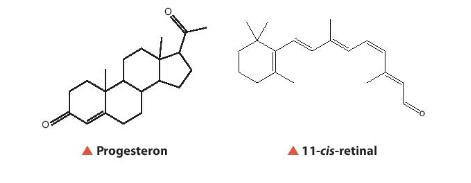 Hợp chất carbonyl đơn giản nhất là aldehyde và ketone đơn chức