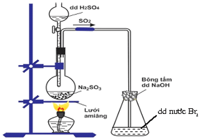 Trắc nghiệm Hóa học 11 Chân trời sáng tạo Bài 6 (có đáp án): Sulfur và sulfur dioxide (ảnh 1)