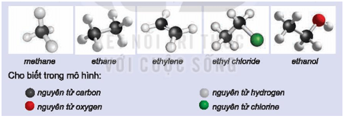 Hãy viết công thức phân tử của các hợp chất hữu cơ có mô hình cho dưới đây