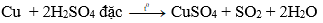 Trắc nghiệm Hóa học 9 Bài 17 (có đáp án): Dãy hoạt động hóa học của kim loại