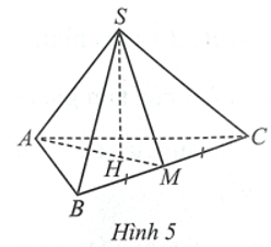 Cho hình chóp tam giác đều S.ABC có độ dài cạnh đáy bằng 9 cm