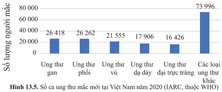 Quan sát hình 13.5, nêu khái quát tình hình ung thư tại Việt Nam năm 2020 và rút ra nhận xét