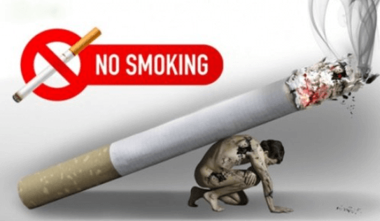 Tóm tắt Ôn dịch thuốc lá hay, ngắn nhất (20 mẫu)