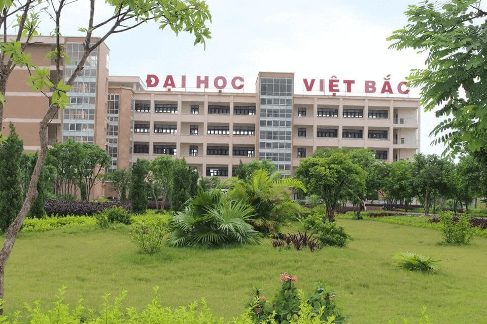 Đại học Việt Bắc (năm 2023) (ảnh 2)