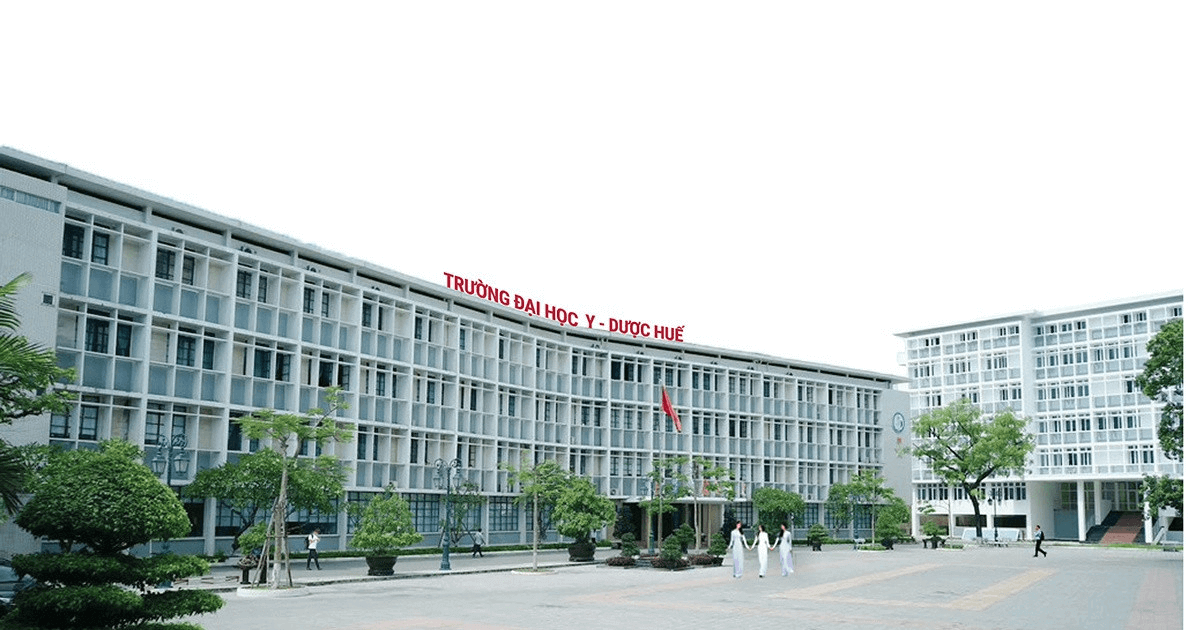 Đại học Y dược - Đại học Huế (năm 2023)