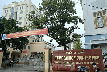 Đại học Y dược Thái Bình (năm 2022)