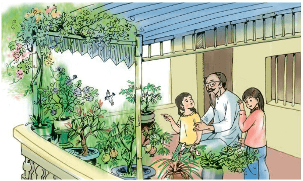 Chuyện một khu vườn nhỏ lớp 5 | Giải Tiếng Việt lớp 5 Tập 1
