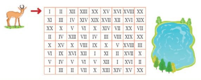 Toán lớp 3 Bài 47: Làm quen với chữ số La Mã (trang 12, 13, 14 Tập 2) | Kết nối tri thức