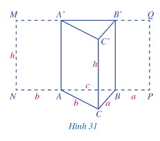 Quan sát hình lăng trụ đứng tam giác ABC.A'B'C' (Hình 31)