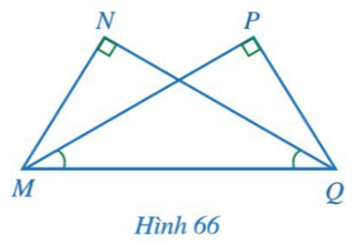 Cho Hình 66 có góc N = góc P = 90 độ