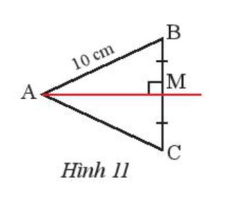 Quan sát Hình 11, cho biết M là trung điểm của BC, AM vuông góc với BC