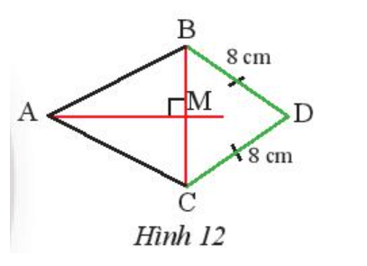 Quan sát Hình 12, cho biết AM là đường trung trực của đoạn thẳng BC