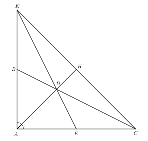 Cho tam giác ABC vuông tại A có AB = 1/2 AC, AD là tia phân giác góc BAC