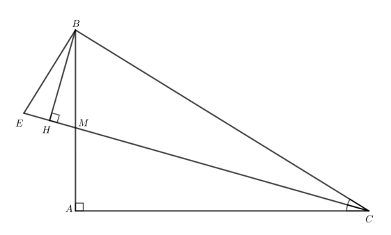 Cho tam giác ABC vuông tại A. Tia phân giác của góc C cắt AB ở M