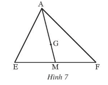 Trong Hình 7, G là trọng tâm của tam giác AEF với đường trung tuyến AM
