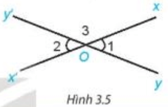Cho hai đường thẳng xx' và yy' cắt nhau tại O (H.3.5). Dự đoán xem hai góc xOy