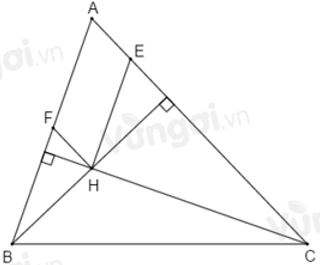 Trắc nghiệm Tính chất ba đường cao của tam giác