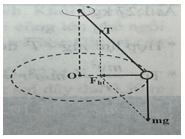Trắc nghiệm Vật Lí 10 Chân trời sáng tạo Bài 21 (có đáp án): Động lực học của chuyển động tròn. Lực hướng tâm (ảnh 1)