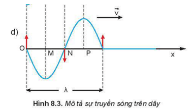 Trong đồ thị của sóng Hình 8.3d các điểm nào trong các điểm M, N, P trên phương Ox dao động lệch pha