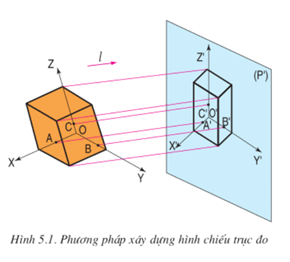 Lý thuyết Công nghệ 11 Bài 5: Hình chiếu trục đo hay, ngắn gọn