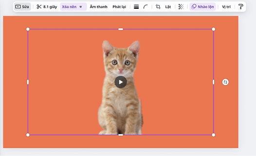 Bộ công cụ chỉnh sửa video trên Canva
