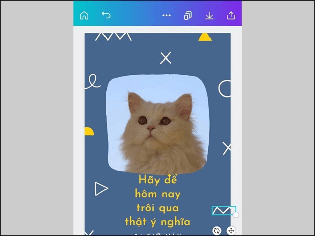 Hướng dẫn cắt và giữ một mảng ảnh trên Canva