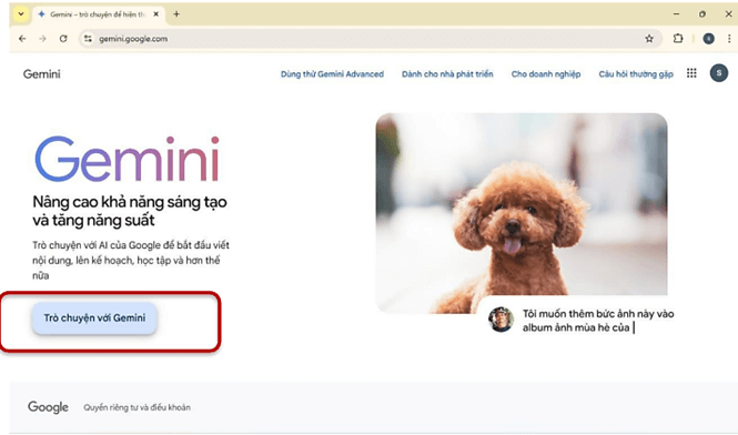 Hướng dẫn sử dụng gemini trong giảng dạy