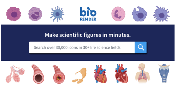 Top những nguồn ảnh và đồ họa khoa học miễn phí cho thiết kế bài giảng