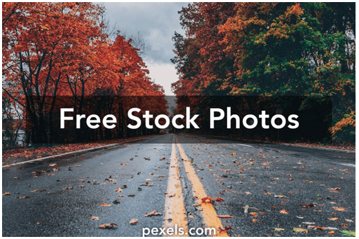 Top những nguồn ảnh và đồ họa khoa học miễn phí cho thiết kế bài giảng