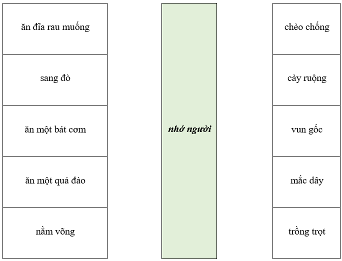 Bài tập cuối tuần Tiếng Việt lớp 1 Tuần 34 Kết nối tri thức (có đáp án) | Đề kiểm tra cuối tuần Tiếng Việt lớp 1