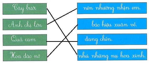 bai-tap-cuoi-tuan-tieng-viet-lop-1-tuan-17-kntt-169507.PNG