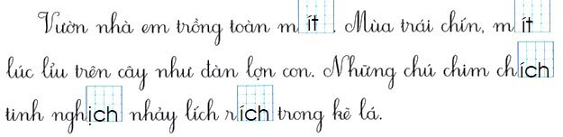 Bài tập cuối tuần Tiếng Việt lớp 1 Tuần 34 Kết nối tri thức (có đáp án) | Đề kiểm tra cuối tuần Tiếng Việt lớp 1