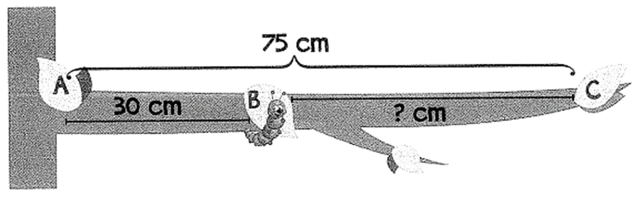 Bài tập cuối tuần Toán lớp 1 Tuần 29 Kết nối tri thức (có đáp án) | Đề kiểm tra cuối tuần Toán lớp 1