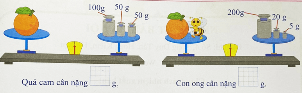 Bài tập cuối tuần Toán lớp 3 Tuần 18 Cánh diều có đáp án | Đề kiểm tra cuối tuần Toán lớp 3