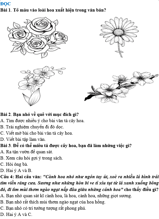 Bài tập hàng ngày Tiếng Việt lớp 4 Bài 11: Tập làm văn | Kết nối tri thức