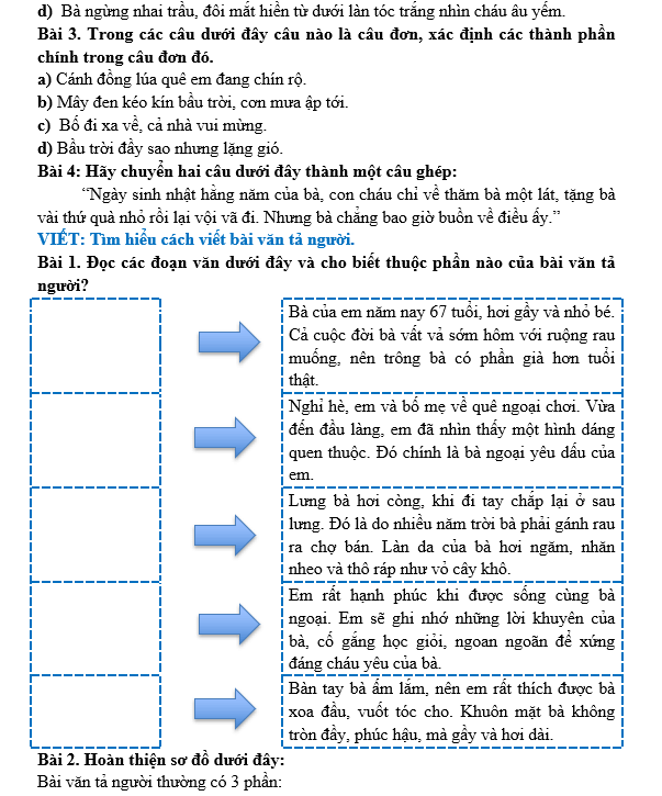Bài tập hàng ngày Tiếng Việt lớp 5 Bài 1: Tiếng hát của người đá | Kết nối tri thức
