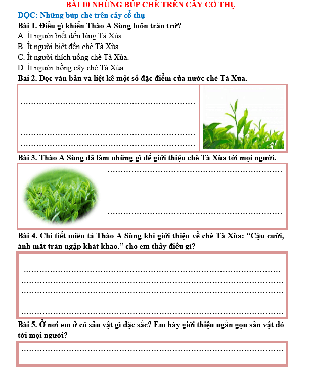 Bài tập hàng ngày Tiếng Việt lớp 5 Bài 10: Những búp chè trên cây cổ thụ | Kết nối tri thức