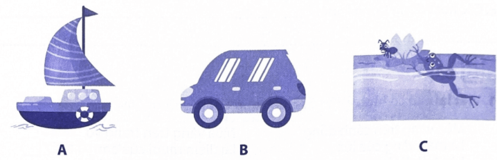 Bài tập phát triển năng lực Tiếng Việt lớp 3 Tuần 18: Ôn tập cuối học kì 1 (trang 69, 70, 71, 72, 73, 74, 75) (ảnh 1)