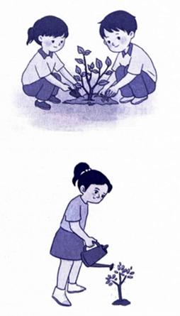 Bài tập phát triển năng lực Tiếng Việt lớp 3 Tuần 19: Thế giới tự nhiên (trang 2, 3, 4, 5, 6) (ảnh 4)